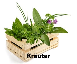 Kräuter